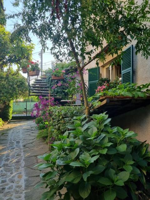 Bed and Breakfast Casa Cambini Marina di Massa Exterior foto